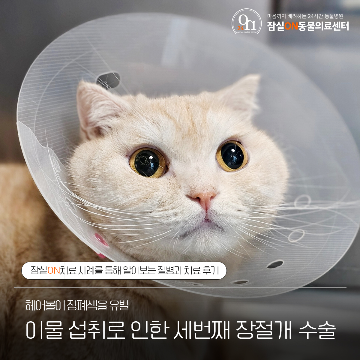 8cafaa43b9b936a46c740045d9fcc5ec_1725860447_4703.jpg