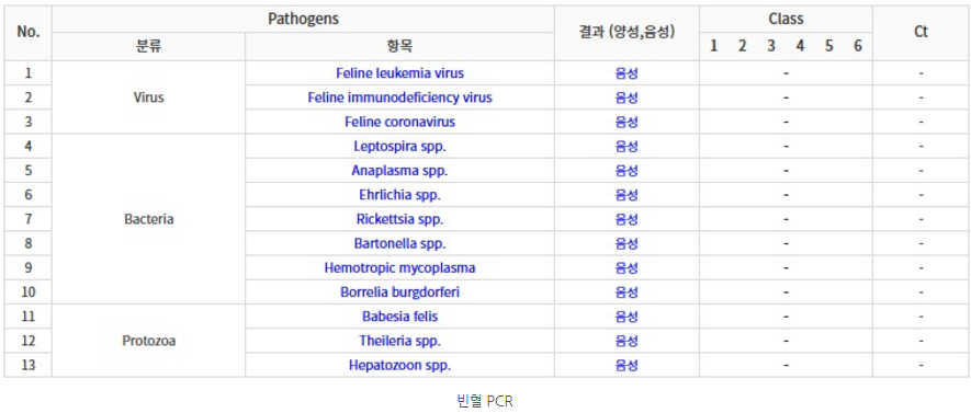 47fa0073640b15fd448681a501ac98c7_1733720843_9984.png