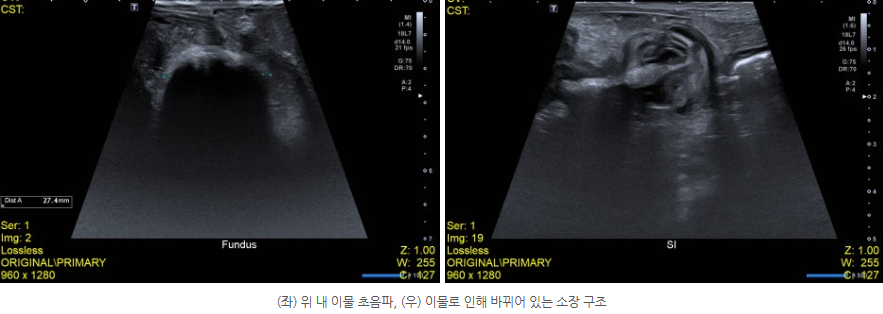 ef3ce0e75497176adc7cf406b1285a99_1735792519_3918.png
